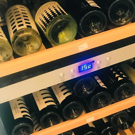 Dolce 巴拉腾肯尼斯